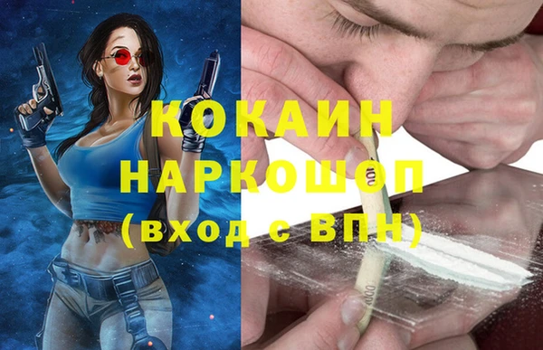 молекула духа Арсеньев