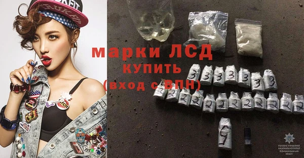 молекула духа Арсеньев