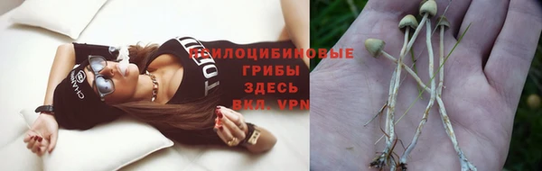 молекула духа Арсеньев