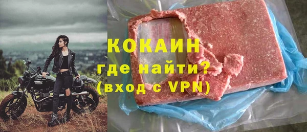 молекула духа Арсеньев