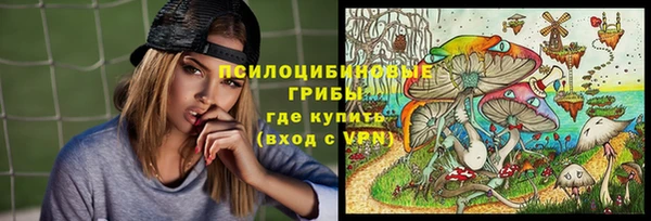 молекула духа Арсеньев