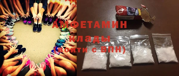 молекула духа Арсеньев