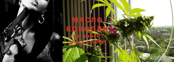 молекула духа Арсеньев