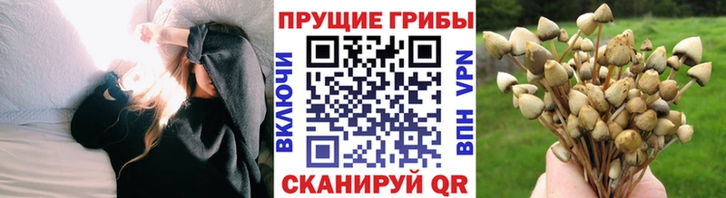 магазин продажи наркотиков  Скопин  Псилоцибиновые грибы GOLDEN TEACHER 